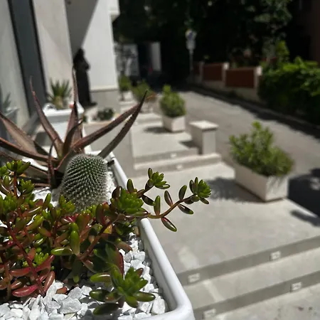 San Francesco Hotell 3*