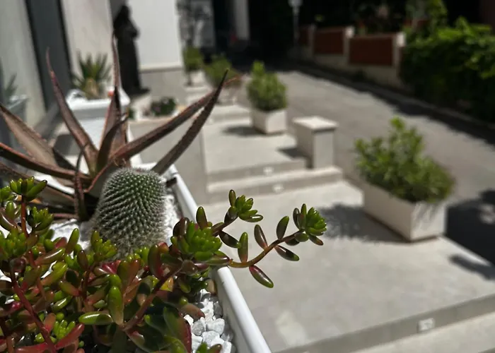 San Francesco Hotel 3*